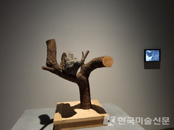  자신이 새라고 배운 돌, 2010. ⓒ김범. (사진=이미희 기자)